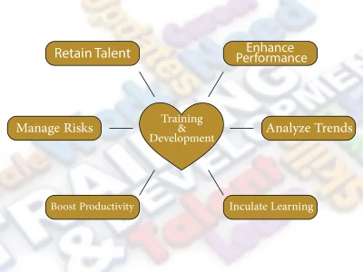 training-and-development-01